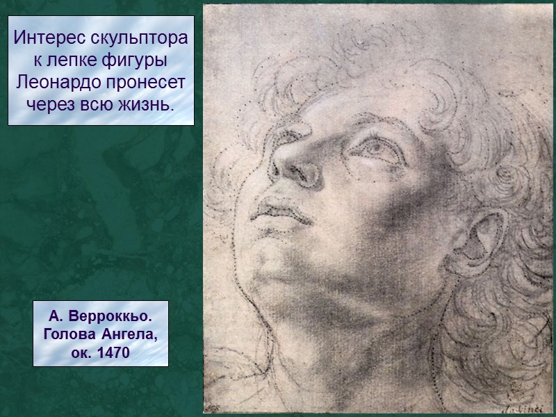 Интерес скульптора к лепке фигуры Леонардо пронесет через всю жизнь. А. Верроккьо. Голова Ангела,